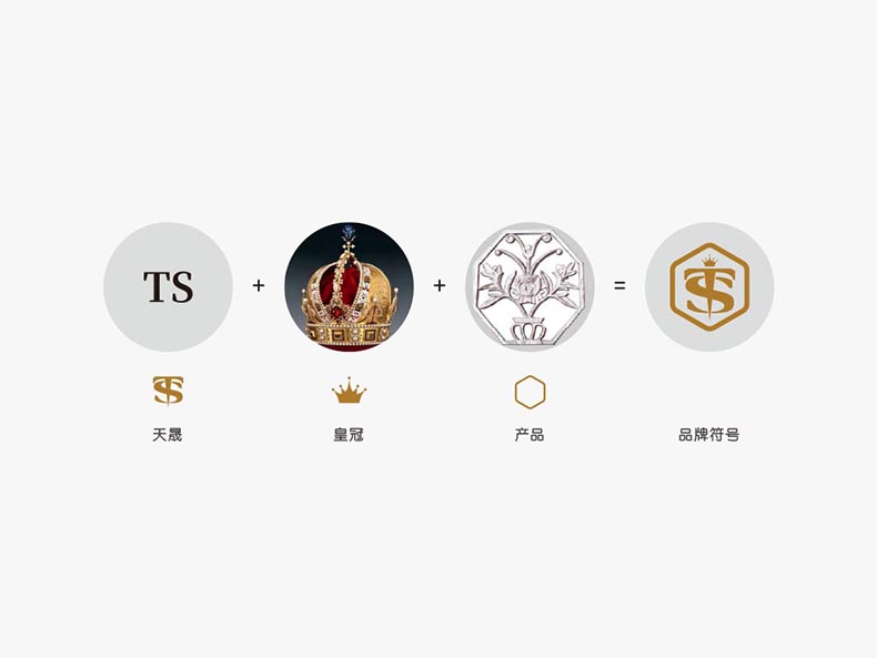 ts-VIS總3