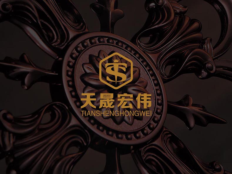 ts-VIS總2