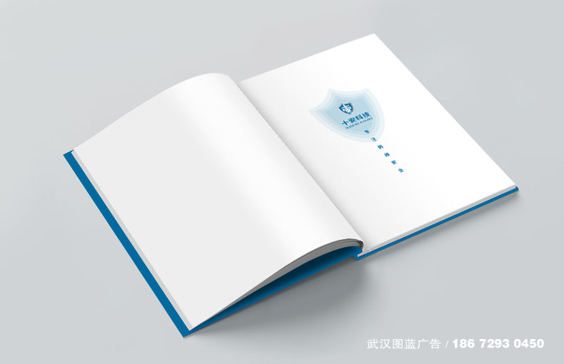 內(nèi)頁效果1